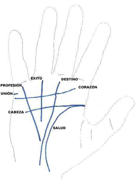 Mapa de las lineas de las manos